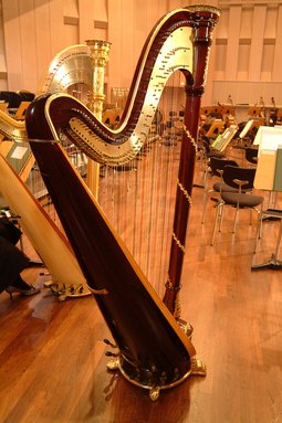 Die Harfe im Probesaal