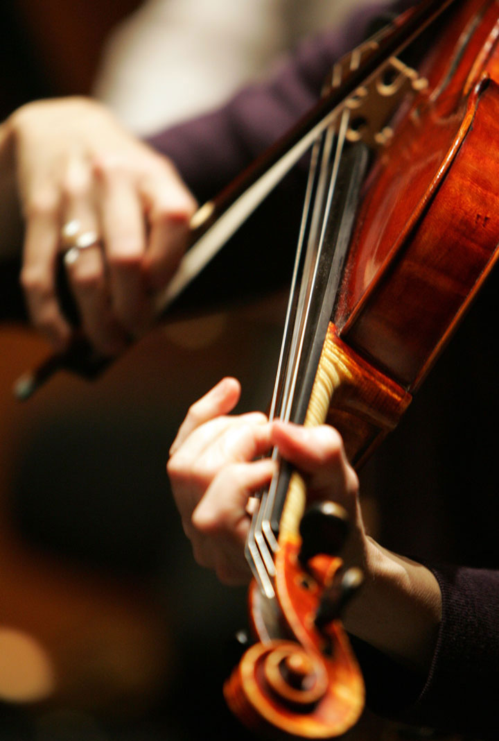 Violine im Detail