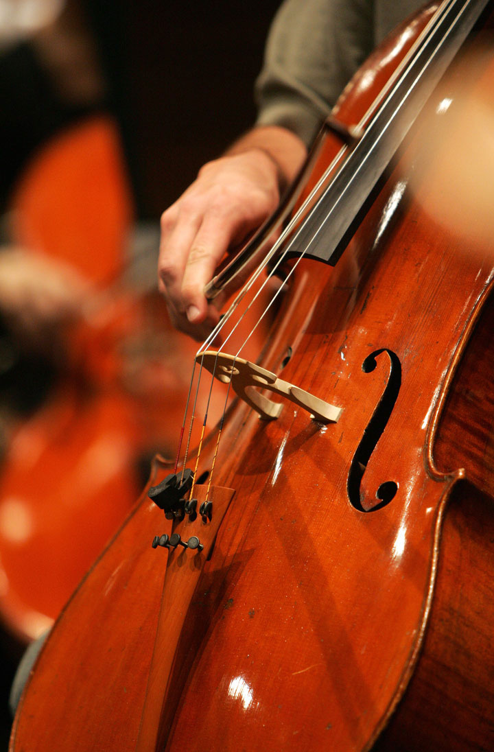 So wird der Bogen des Cello eingesetzt.