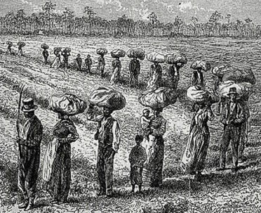 e7372c5f-a6c9-480c-8c77-1e7d04cf9f61