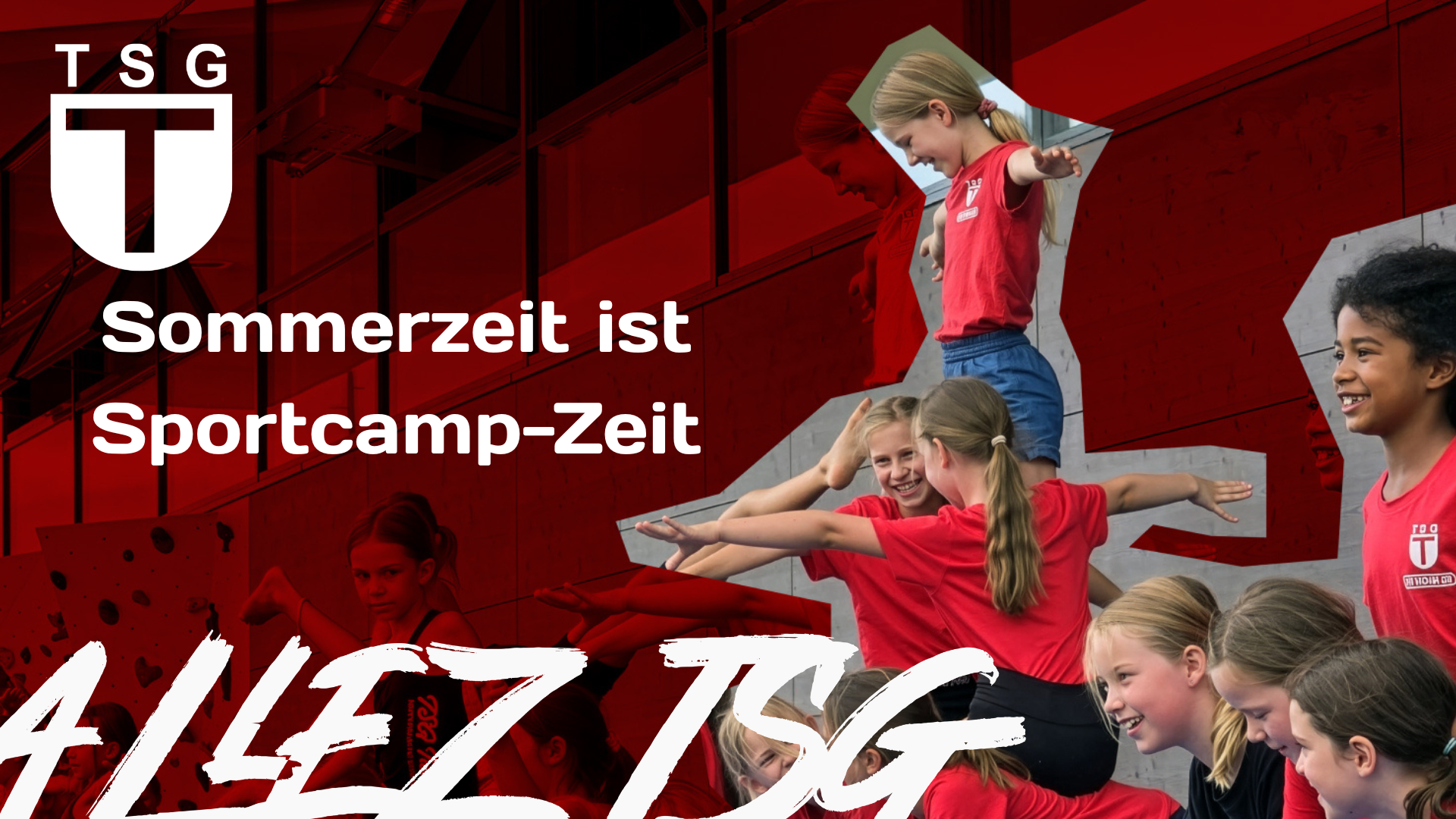 Newsletter 7/2026