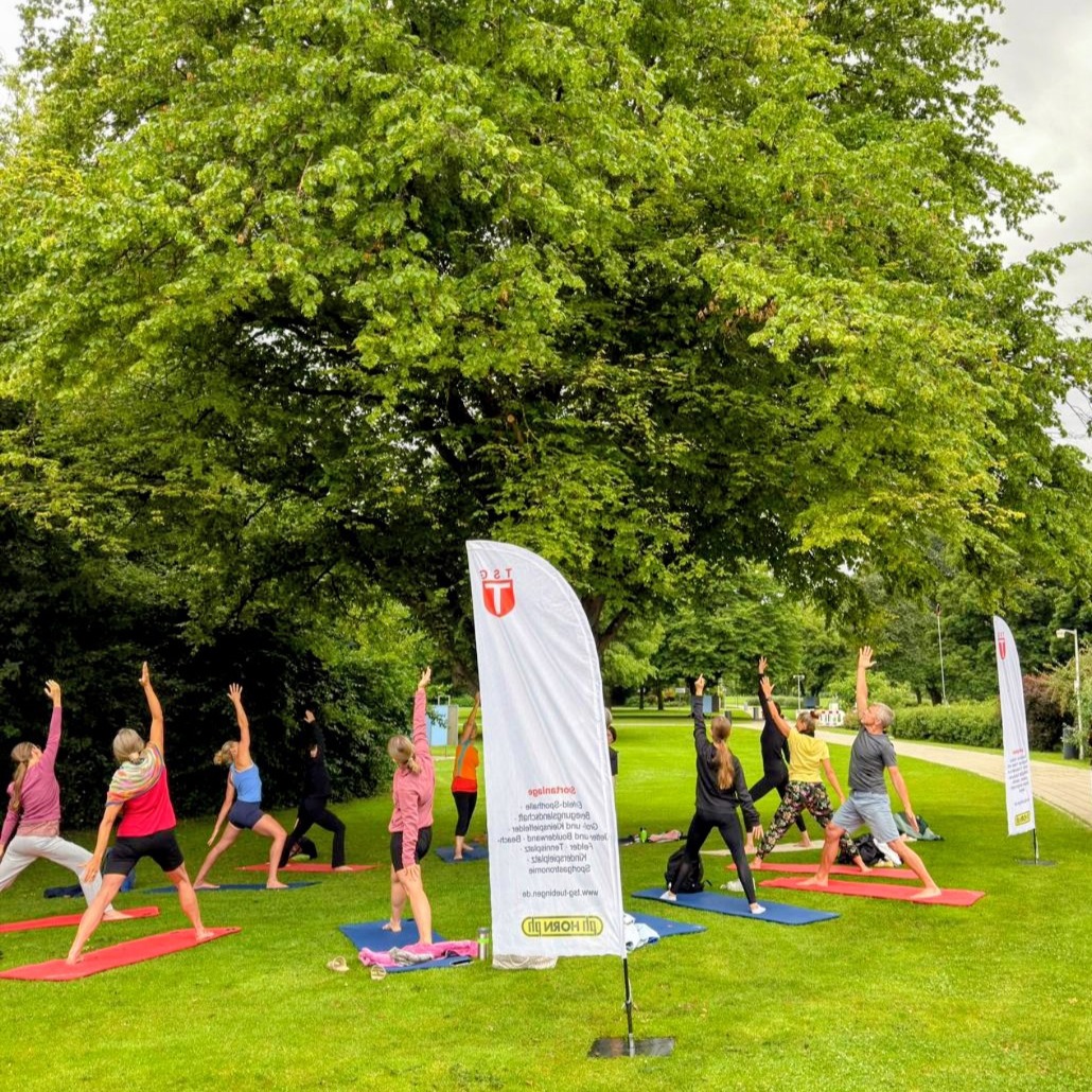 Eine Gruppe von Menschen macht Yoga-Übungen auf Matten im grünen Park. Im Vordergrund eine weiße Fahne mit rotem TSG-Logo.